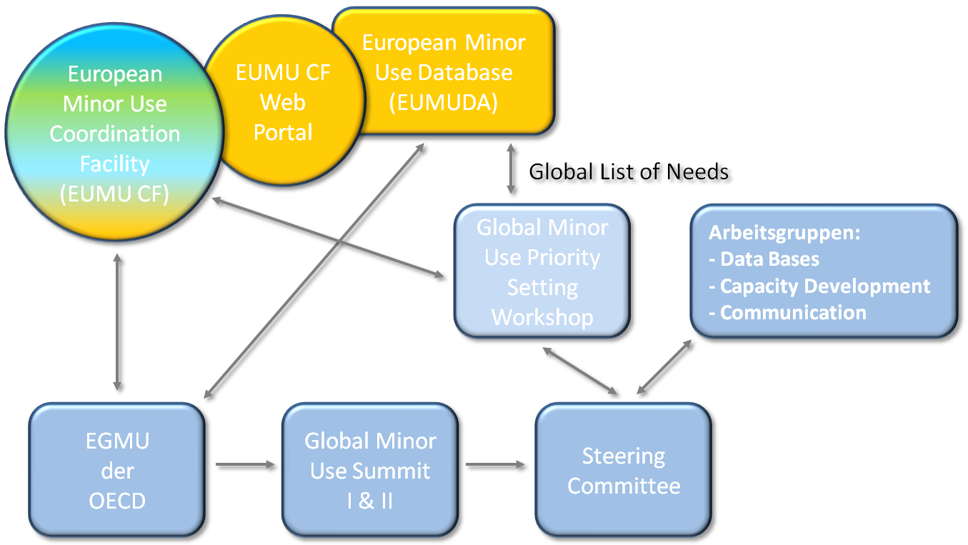 Organigramm der OECD Lücken-Strukturen