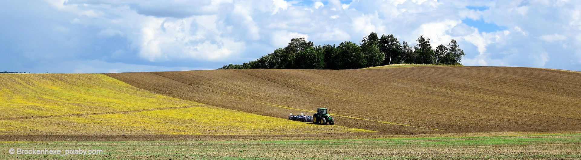 Abbildung einer Agrarlandschaft mit Traktor