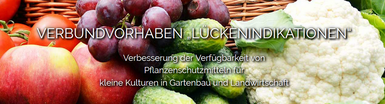 Headerbild des Website Verbundvorhaben Lückenindikationen